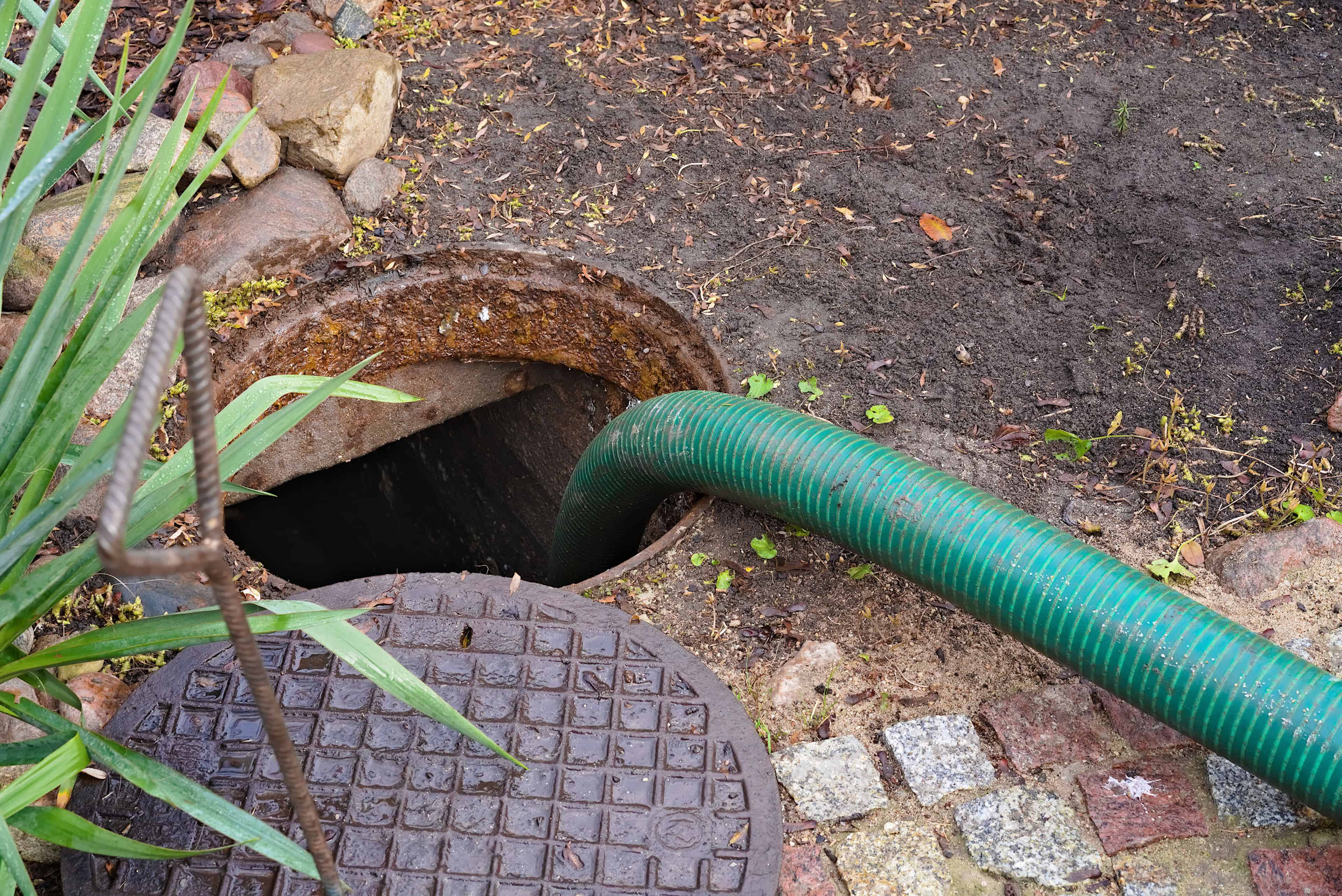Sewer Line Repair image